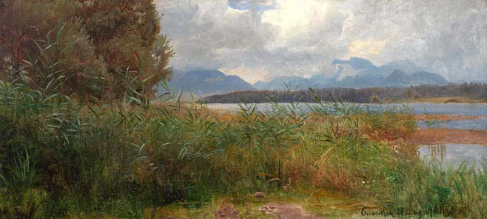 Sivstudie-Chiemsee